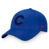 Men's Chicago Cubs Fanatics Branded Royal Fundamental Shadow Snapback Hat