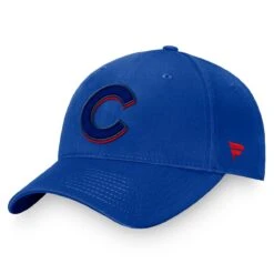 Men's Chicago Cubs Fanatics Branded Royal Fundamental Shadow Snapback Hat