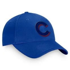 Men's Chicago Cubs Fanatics Branded Royal Fundamental Shadow Snapback Hat -NEW ERA Sales Store mens fanatics branded royal chicago cubs fundamental shadow snapback hat ss5 p 4904010pv 3u oedxacyna3njn8qvgwy4v ur6oy5gogdsib5prpisl