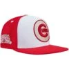 Men's Chicago Cubs Pro Standard White/Red Strawberry Ice Cream Drip Snapback Hat